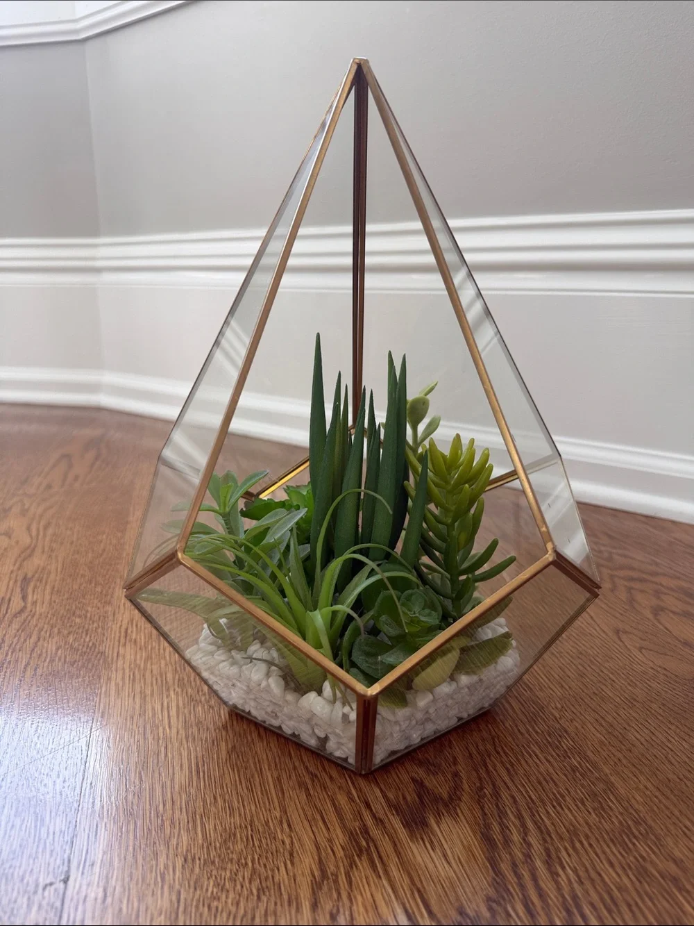 Gold Glass Geometric Terrarium with Green Succulent Arrangement